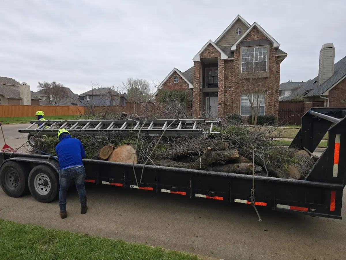 Expert Deadwooding with proper safety equipment in Bonne Terre